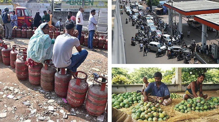 गैस की किल्लत से लेकर आम के एक्सपोर्ट तक, हम चुकाएंगे उनकी जंग की कीमत